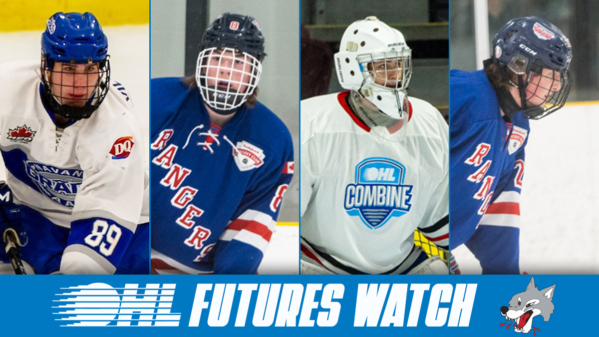 Futures Watch Sudbury Wolves Ontario Hockey League