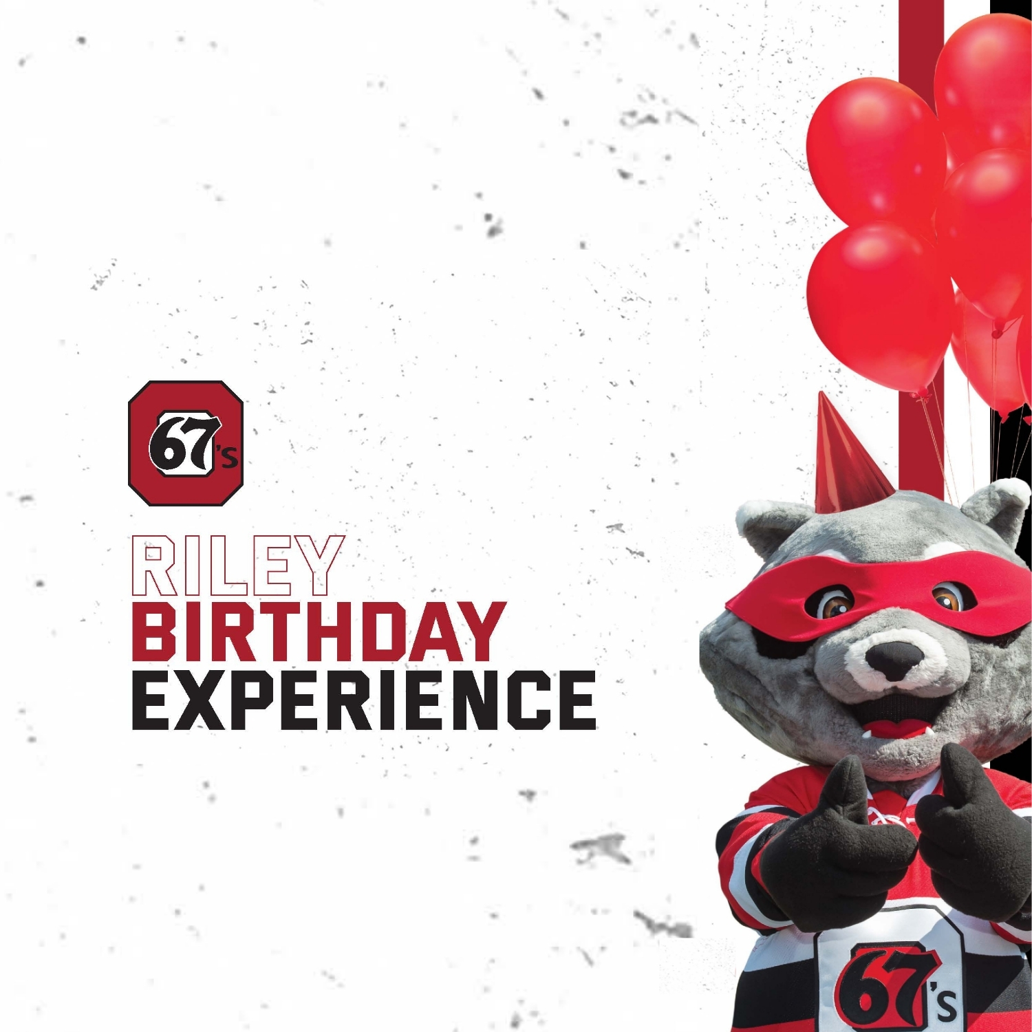 Birthday Experience Banner
