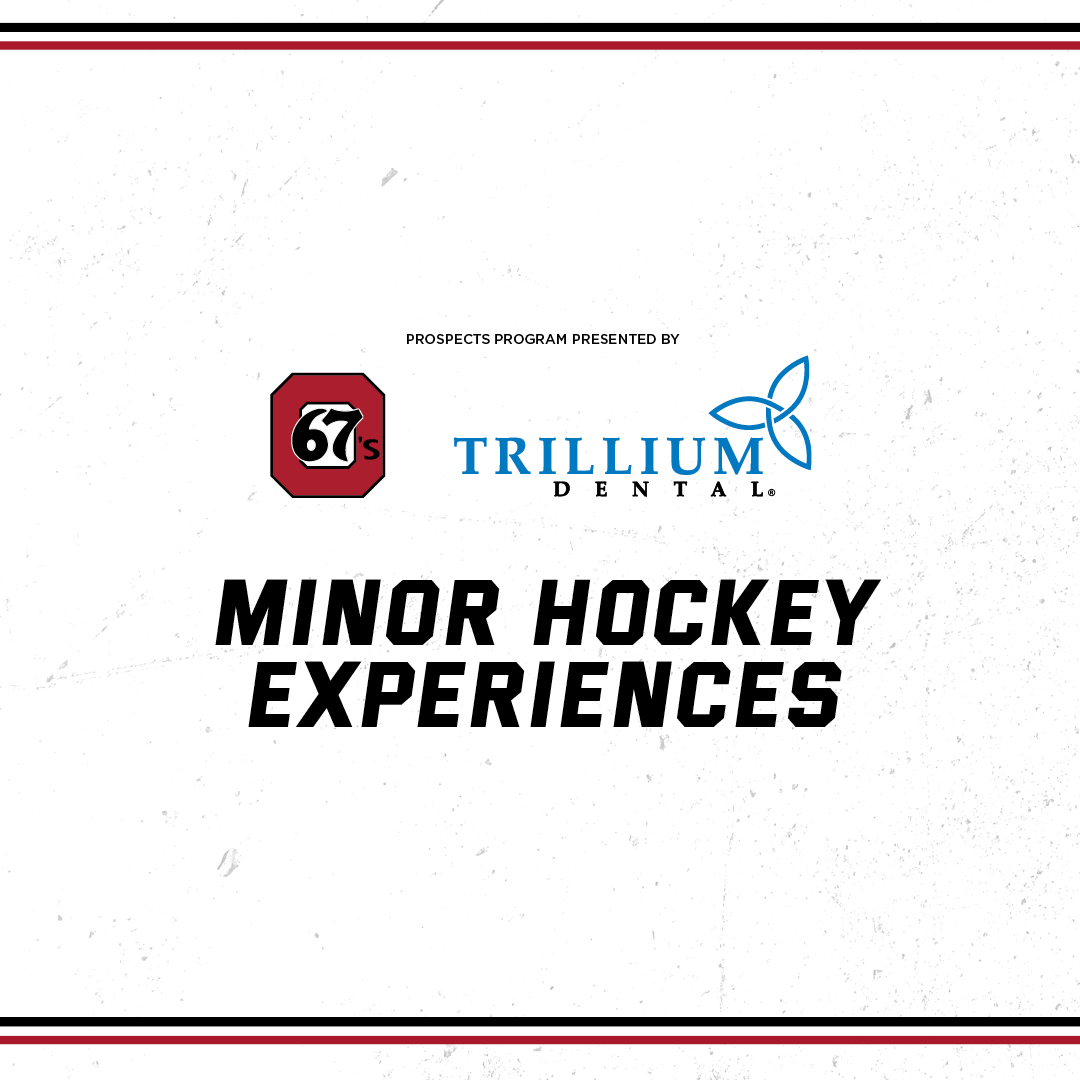 MINOR HOCKEY BANNER