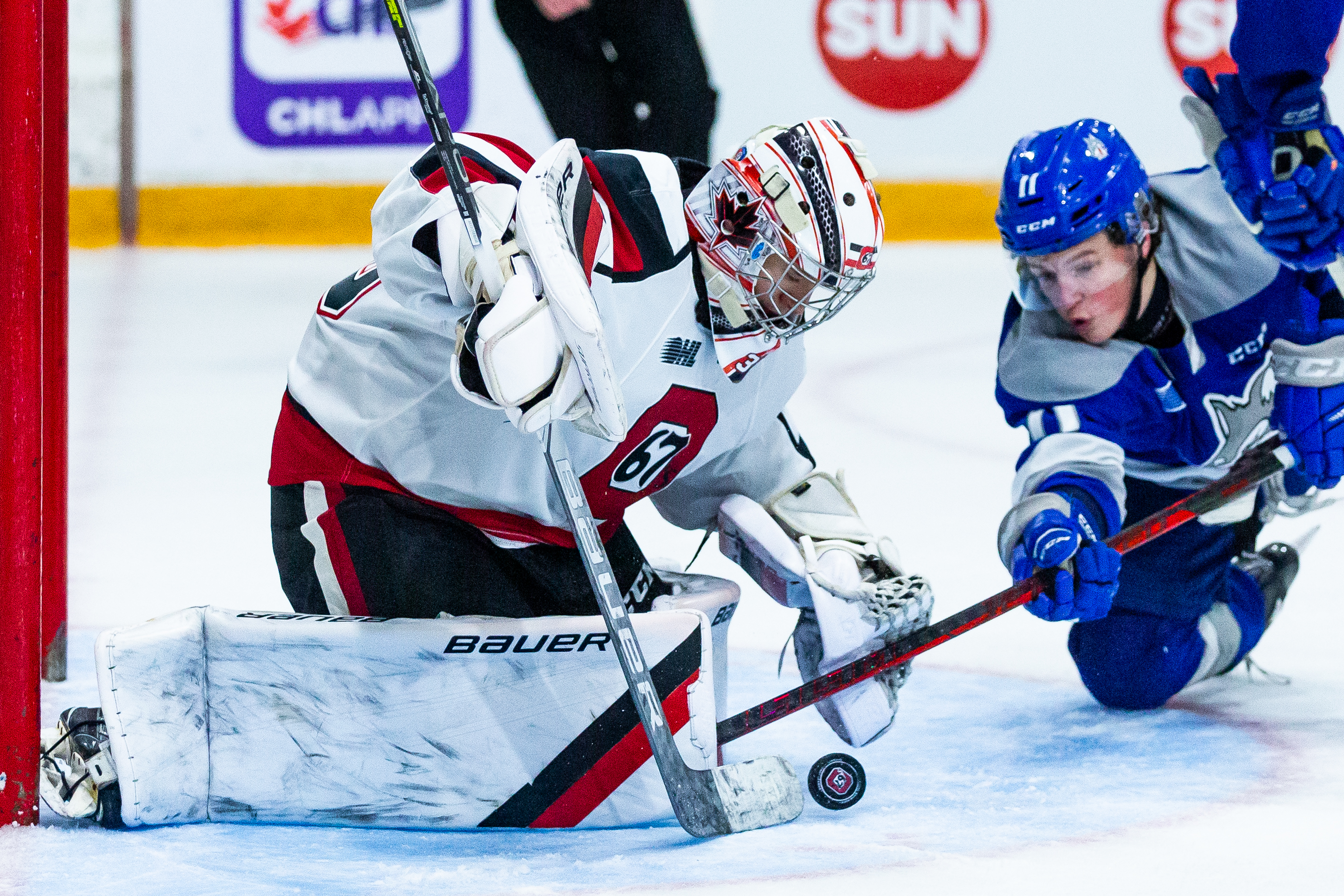 OTTAWA, ONTARIO, CANADA - October 17: Ontario Hockey League (OHL) regular season action between the Sudbury Wolves and Ottawa 67's on October 17, 2021 at The Arena at TD Place in Ottawa, Ontario. (Photo by Jon Halpenny / Ottawa 67's)