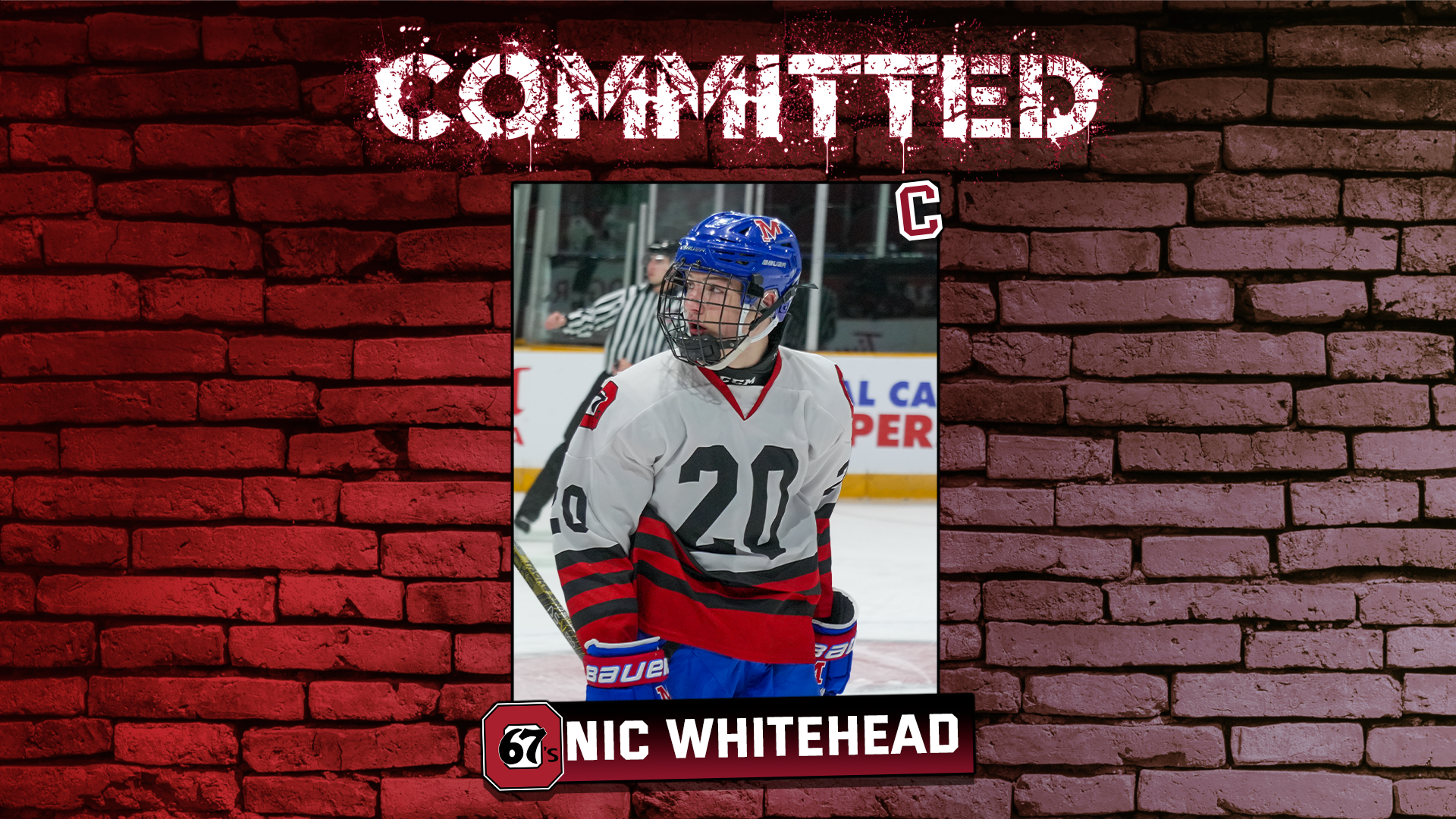 Whitehead 1 – Wide