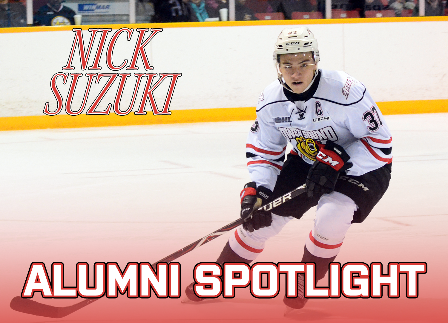Suzuki Alumni Spotlight