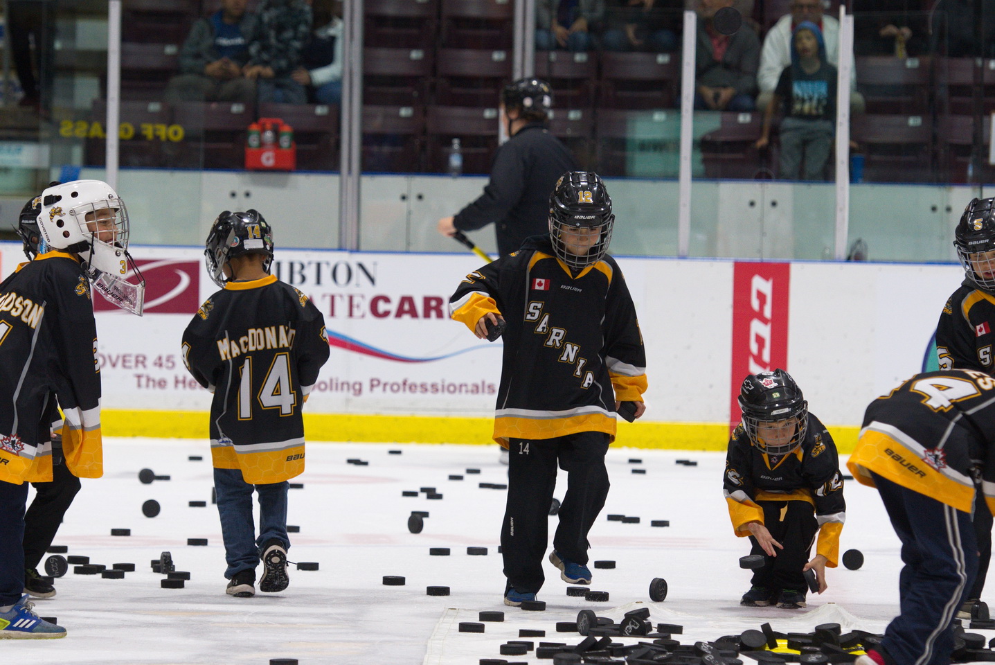 Sting Will Enforce Zero Tolerance Policy Towards Foreign Objects Being