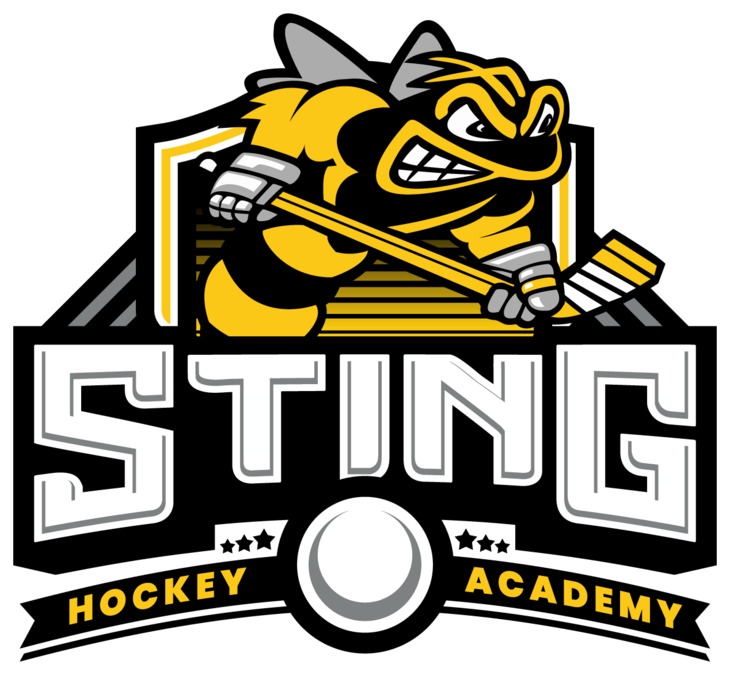 Sting Hockey Academy Logo