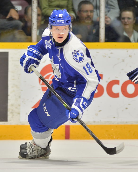 Macauley Carson of the Sudbury Wolves. Photo by Terry Wilson / OHL Images.